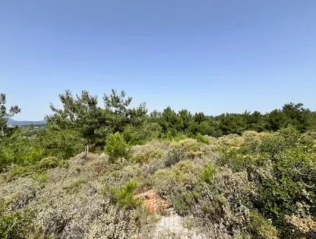 20 Acres Of Land Close To Zoning On Uzbek Road In Urla Rustam