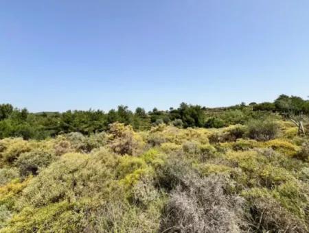 20 Acres Of Land Close To Zoning On Uzbek Road In Urla Rustam