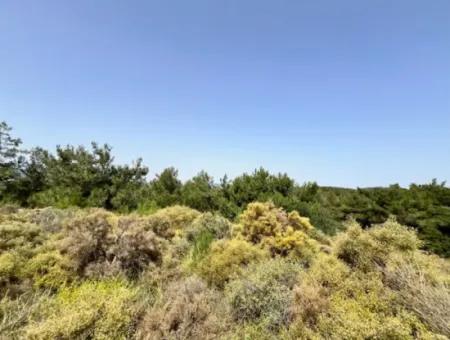 20 Acres Of Land Close To Zoning On Uzbek Road In Urla Rustam