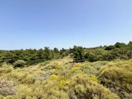 20 Acres Of Land Close To Zoning On Uzbek Road In Urla Rustam