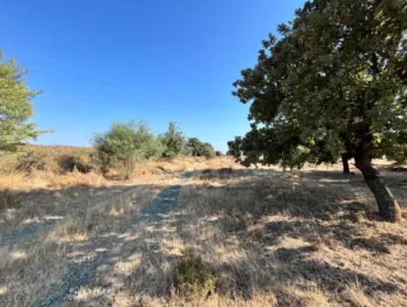 Investment Land Suitable For Twin Villa Construction In Seferihisar Akarca!