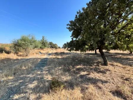 Investment Land Suitable For Twin Villa Construction In Seferihisar Akarca!