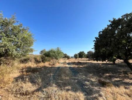 Investment Land Suitable For Twin Villa Construction In Seferihisar Akarca!