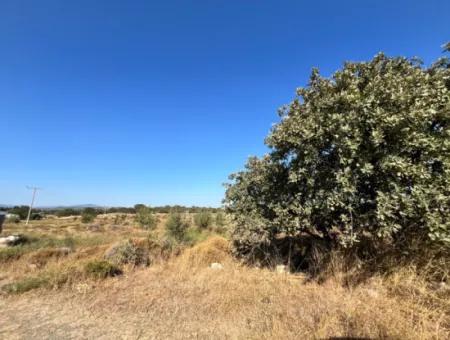 Investment Land Suitable For Twin Villa Construction In Seferihisar Akarca!