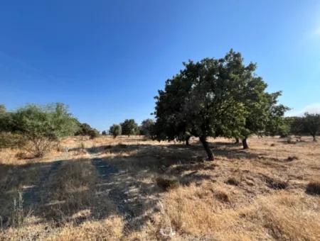 Investment Land Suitable For Twin Villa Construction In Seferihisar Akarca!