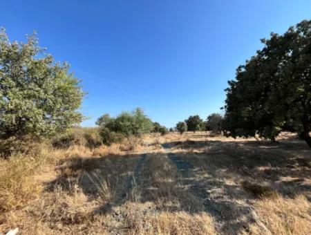 Investment Land Suitable For Twin Villa Construction In Seferihisar Akarca!