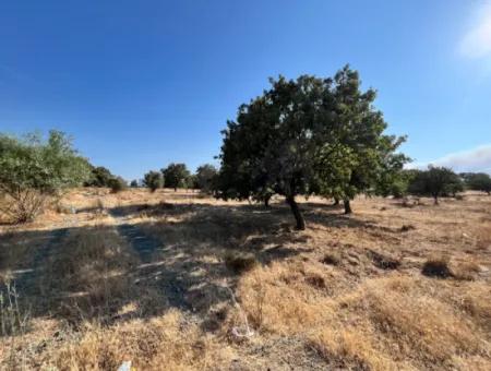 Investment Land Suitable For Twin Villa Construction In Seferihisar Akarca!