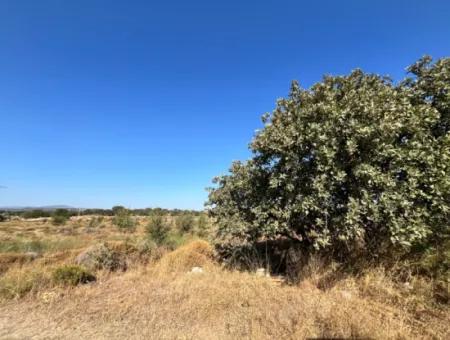 Investment Land Suitable For Twin Villa Construction In Seferihisar Akarca!