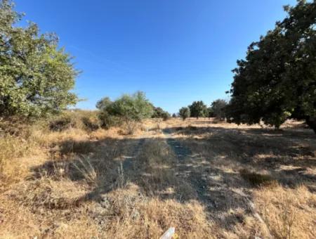 Investment Land Suitable For Twin Villa Construction In Seferihisar Akarca!