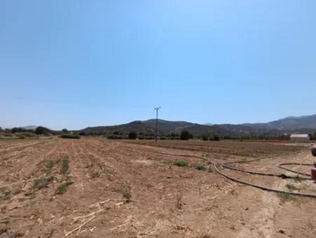 Large Plot Of Land Suitable For Farm Construction In Tire Peşrefli - Investment Opportunity!