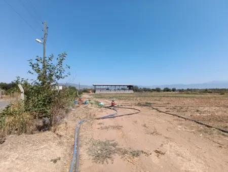 Large Plot Of Land Suitable For Farm Construction In Tire Peşrefli - Investment Opportunity!