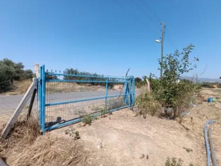 Large Plot Of Land Suitable For Farm Construction In Tire Peşrefli - Investment Opportunity!