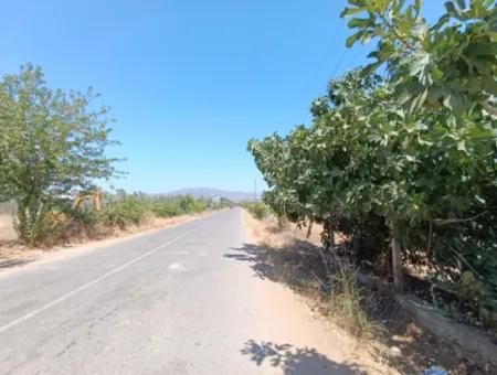 Large Plot Of Land Suitable For Farm Construction In Tire Peşrefli - Investment Opportunity!