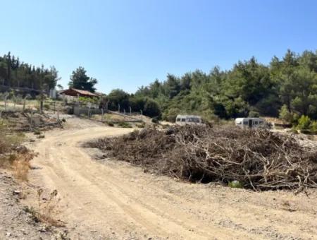 Doğa Tutkunları İçin İdeal Arsa! Kavakdere Barajı Yanında 7600 M² Bağ Evi Ve Zeytinlik