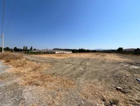 Seferihisar Düzce Mahallesi’nde 5300 M² Verimli Tarım Ve Hayvancılığa Elverişli Arsa!