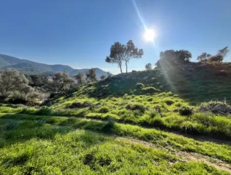 Seferihisar Orhanlı’da 10.000 M² Kadastral Yola Cepheli, Panoramik Doğa Manzaralı Satılık Arsa