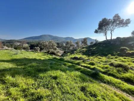 Seferihisar Orhanlı’da 10.000 M² Kadastral Yola Cepheli, Panoramik Doğa Manzaralı Satılık Arsa