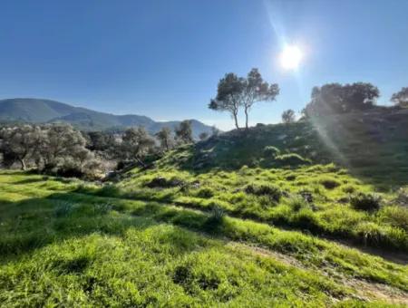 Seferihisar Orhanlı’da 10.000 M² Kadastral Yola Cepheli, Panoramik Doğa Manzaralı Satılık Arsa