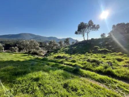 Seferihisar Orhanlı’da 10.000 M² Kadastral Yola Cepheli, Panoramik Doğa Manzaralı Satılık Arsa